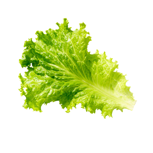 Lettuce Lettuce - Image 1