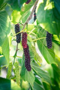 PPP9160-scaled-e1631654618812-1200x1798