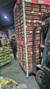 WhatsApp Image 2025-11-06 at 6.46.37 PM (2)