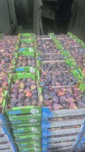 WhatsApp Image 2025-11-06 at 6.46.39 PM (1)