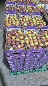 WhatsApp Image 2025-11-06 at 6.46.39 PM