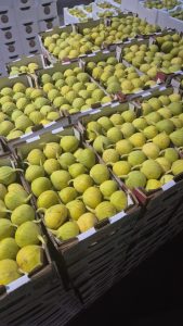 WhatsApp Image 2025-11-06 at 6.46.40 PM (1)