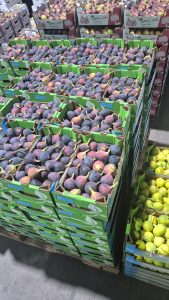 WhatsApp Image 2025-11-06 at 6.46.40 PM (2)