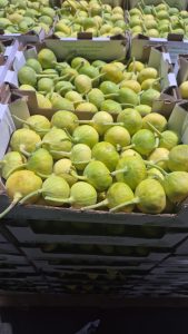 WhatsApp Image 2025-11-06 at 6.46.41 PM (1)