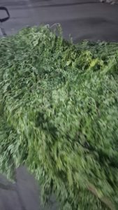 WhatsApp Image 2025-11-06 at 6.46.42 PM