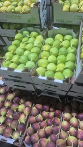 WhatsApp Image 2025-11-06 at 6.46.43 PM (1)