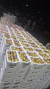 WhatsApp Image 2025-11-06 at 6.46.43 PM