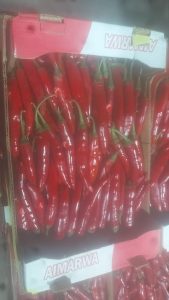 WhatsApp Image 2025-11-06 at 6.46.44 PM (1)