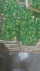 WhatsApp Image 2025-11-06 at 6.46.45 PM (1)