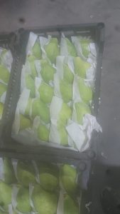 WhatsApp Image 2025-11-06 at 6.46.45 PM