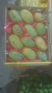 WhatsApp Image 2025-11-06 at 6.46.46 PM (1)