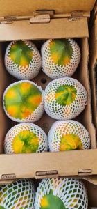 WhatsApp Image 2025-11-13 at 12.13.49 PM