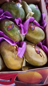 WhatsApp Image 2025-11-21 at 1.26.25 AM