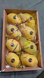 WhatsApp Image 2025-11-21 at 1.26.29 AM