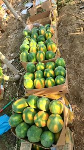 WhatsApp Image 2025-11-21 at 1.26.30 AM