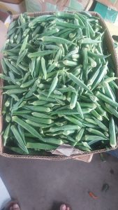 WhatsApp Image 2025-11-21 at 1.26.32 AM