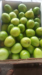 WhatsApp Image 2025-11-21 at 1.26.35 AM