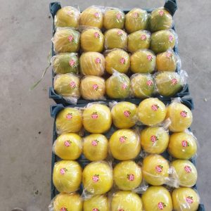 WhatsApp Image 2025-11-21 at 1.26.40 AM