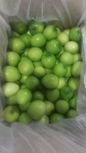 WhatsApp Image 2025-11-21 at 1.26.43 AM