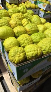 WhatsApp Image 2025-11-21 at 1.26.48 AM