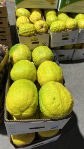 WhatsApp Image 2025-11-21 at 1.26.49 AM