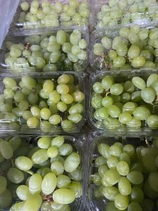 WhatsApp Image 2025-11-21 at 1.26.50