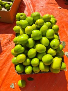 WhatsApp Image 2025-11-21 at 1.26.50 AM