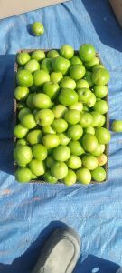 WhatsApp Image 2025-11-21 at 1.26.51 AM