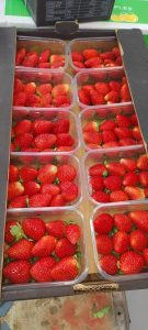 WhatsApp Image 2025-11-21 at 1.26.57 AM