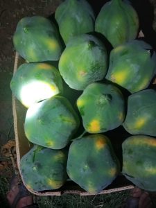 WhatsApp Image 2025-11-21 at AM