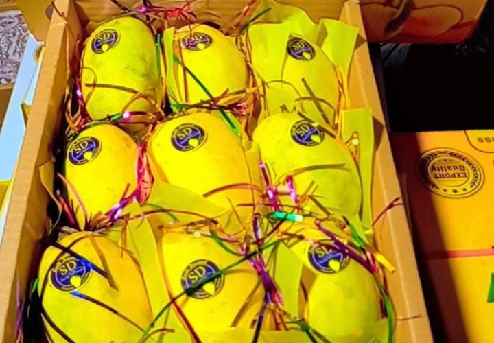 Bay Britrix Gallery (76)