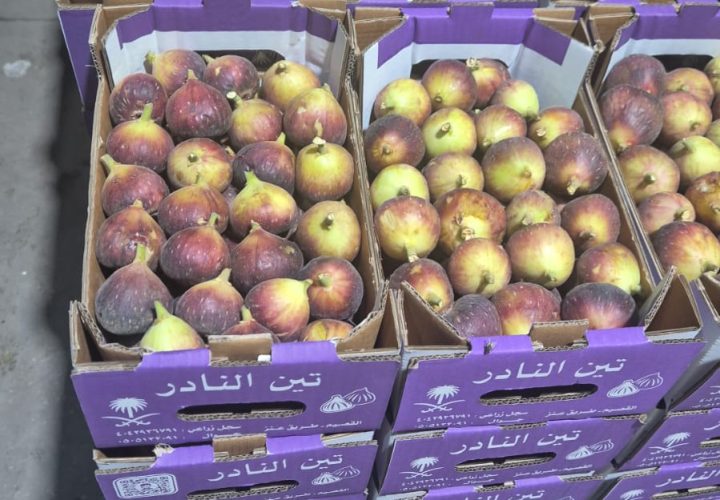 WhatsApp Image 2025-11-06 at 6.46.39 PM