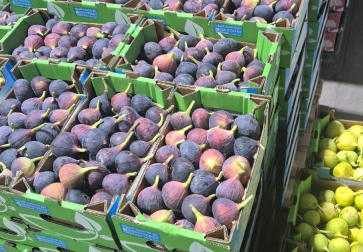 WhatsApp Image 2025-11-06 at 6.46.40 PM (2)