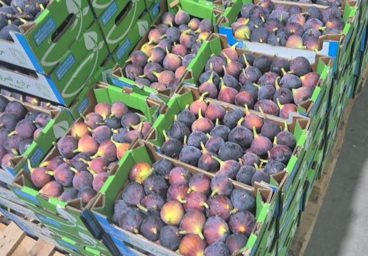 WhatsApp Image 2025-11-06 at 6.46.42 PM (1)