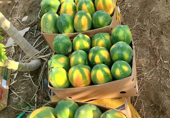 WhatsApp Image 2025-11-21 at 1.26.30 AM