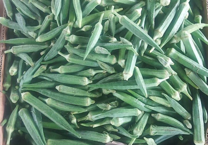 WhatsApp Image 2025-11-21 at 1.26.32 AM