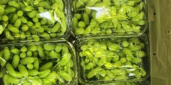 WhatsApp Image 2025-11-21 at 1.26.41 AM