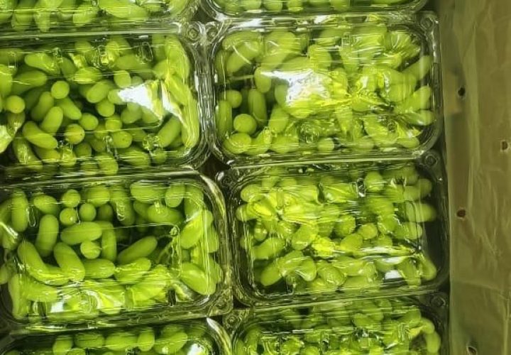 WhatsApp Image 2025-11-21 at 1.26.41 AM